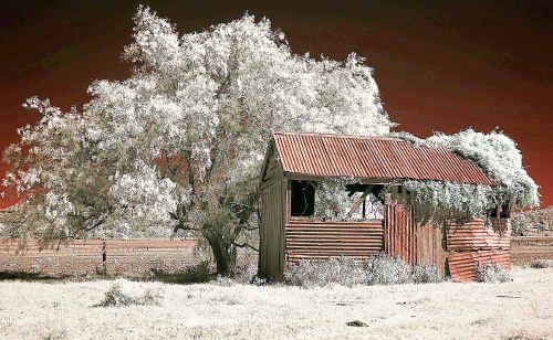 Ian Smith’s Old Shed won the most creative projected image. Ian Smith’s Old Shed won the most creative projected image.